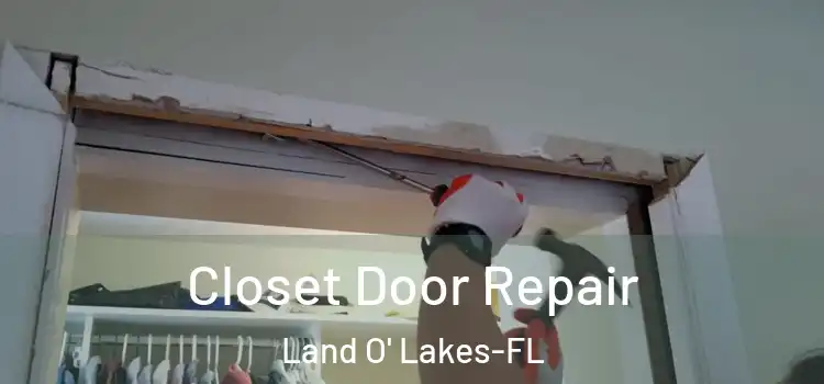 Closet Door Repair Land O' Lakes-FL