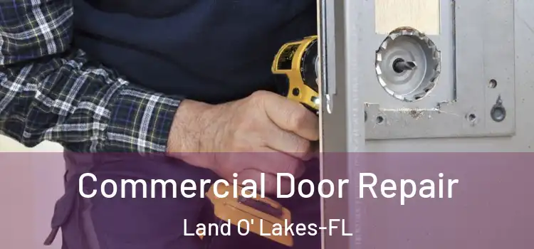 Commercial Door Repair Land O' Lakes-FL