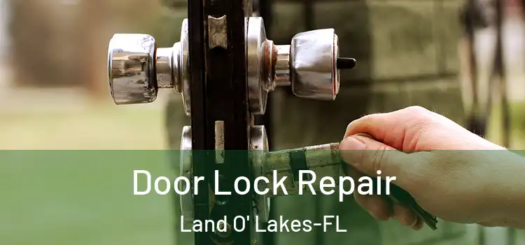 Door Lock Repair Land O' Lakes-FL