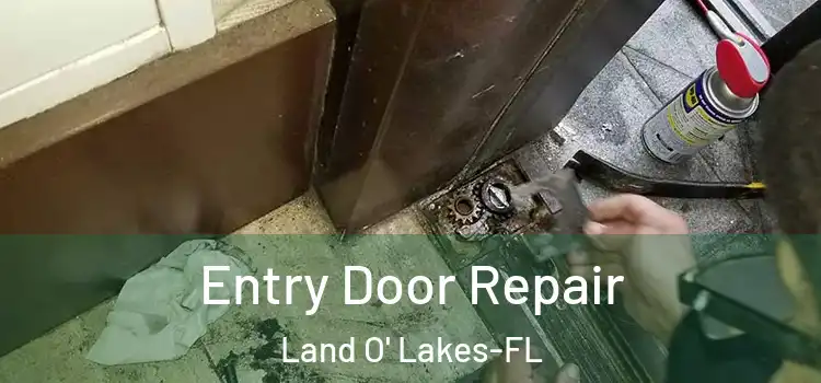 Entry Door Repair Land O' Lakes-FL