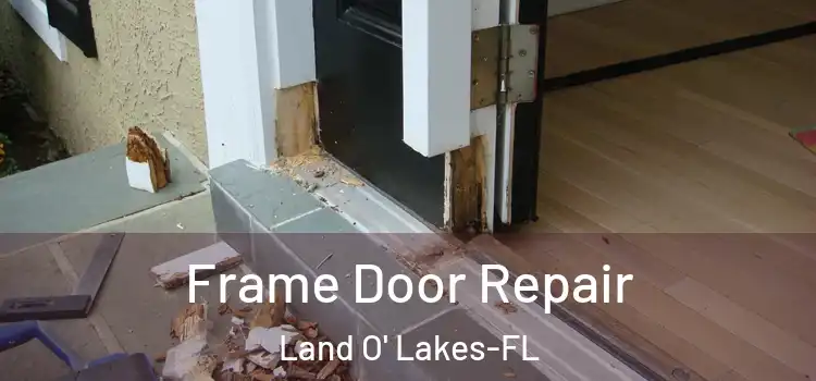 Frame Door Repair Land O' Lakes-FL