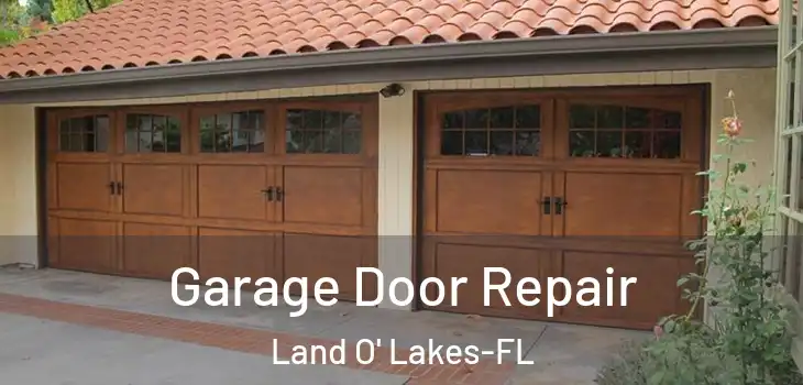 Garage Door Repair Land O' Lakes-FL