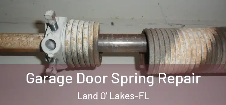 Garage Door Spring Repair Land O' Lakes-FL
