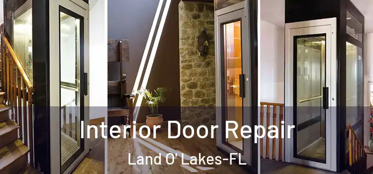 Interior Door Repair Land O' Lakes-FL