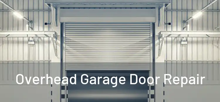 Overhead Garage Door Repair 