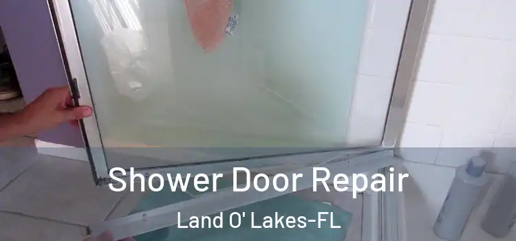 Shower Door Repair Land O' Lakes-FL