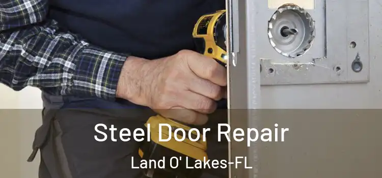 Steel Door Repair Land O' Lakes-FL