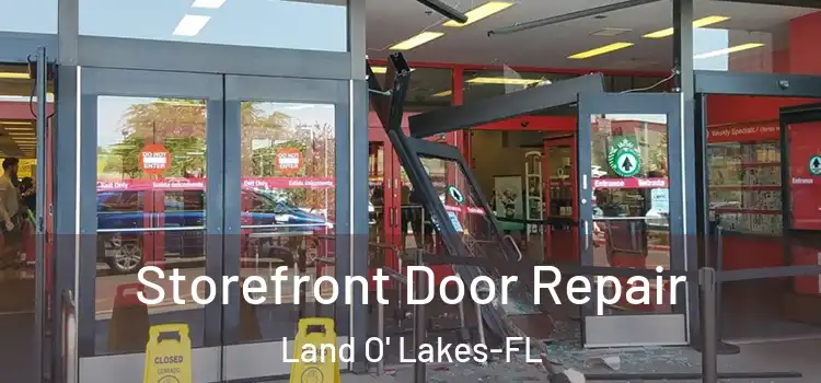 Storefront Door Repair Land O' Lakes-FL