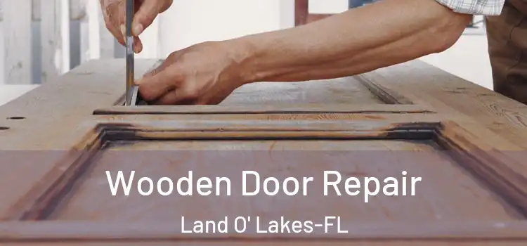 Wooden Door Repair Land O' Lakes-FL